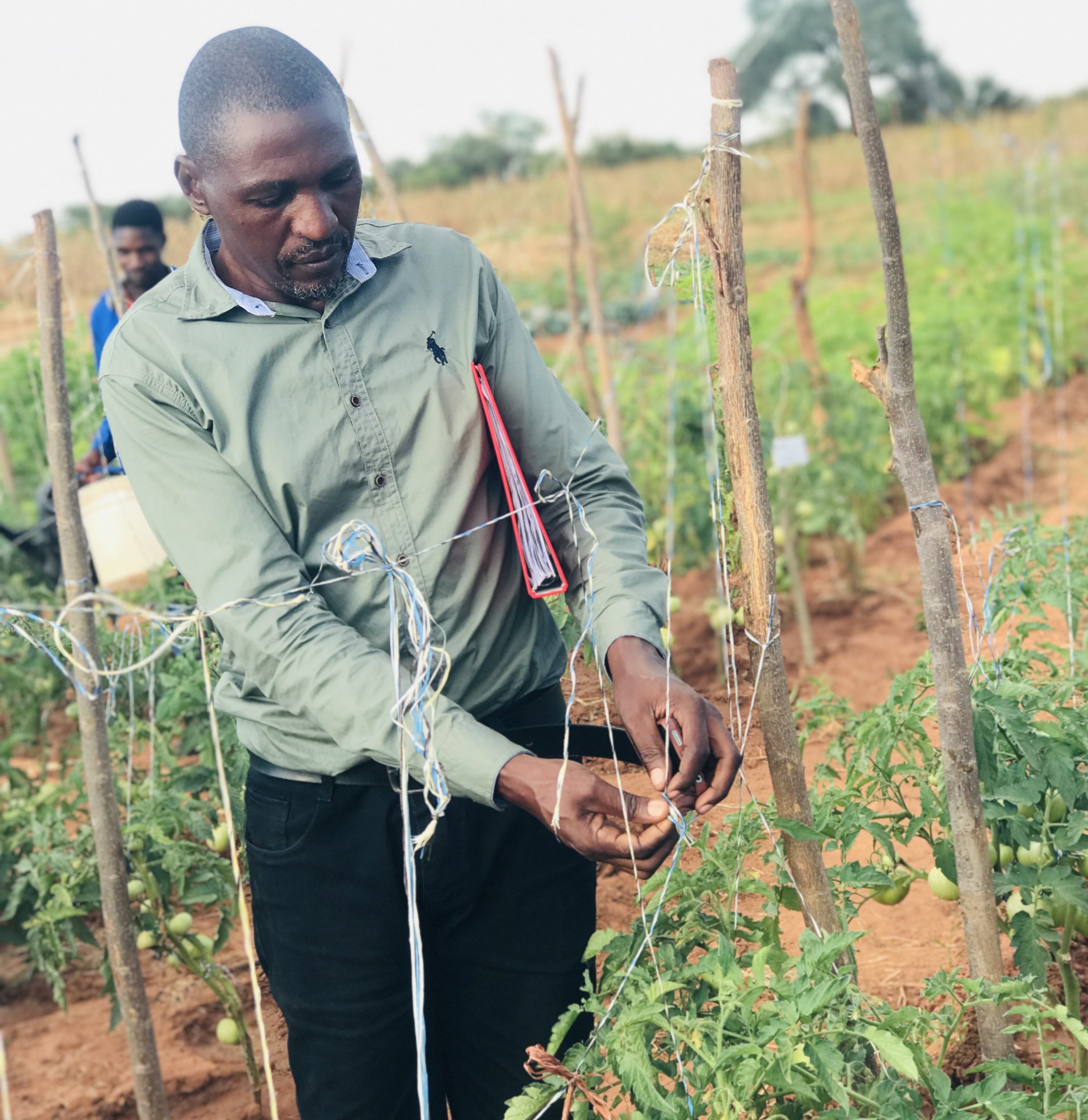 Yosemite National Park